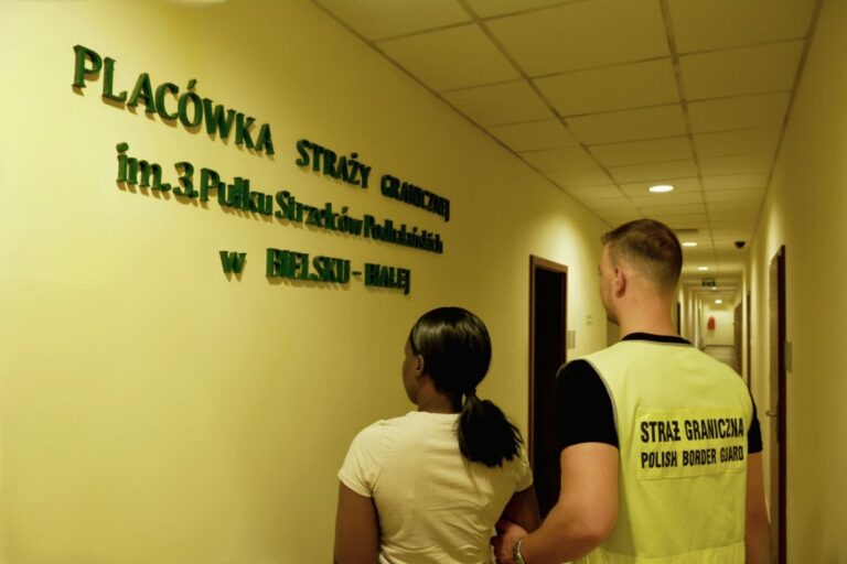 Kontrola Straży Granicznej w Bielsku-Białej. 22 cudzoziemców pracowało nielegalnie