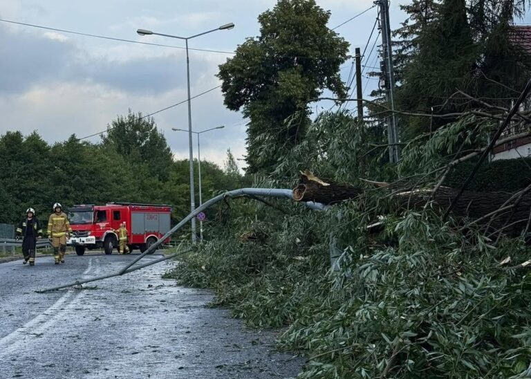 175 zgłoszeń w niespełna cztery godziny. Nawałnica spustoszyła Bielsko-Białą i powiat bielski