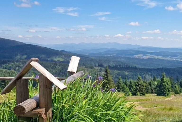 Kolejna wyprawa z cyklu PoznajemyNaszeSzlaki. Gmina Jeleśnia i GOPR zapraszają na Rysiankę