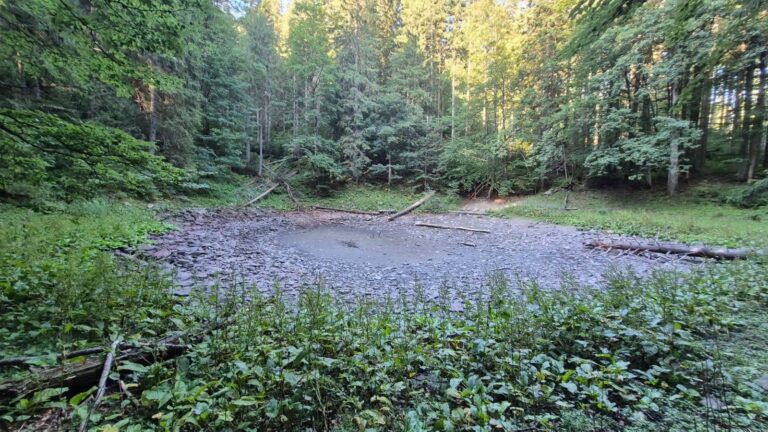 Mokry Stawek na Babiej Górze prawie bez wody. Babiogórski Park Narodowy pokazuje skutki suszy