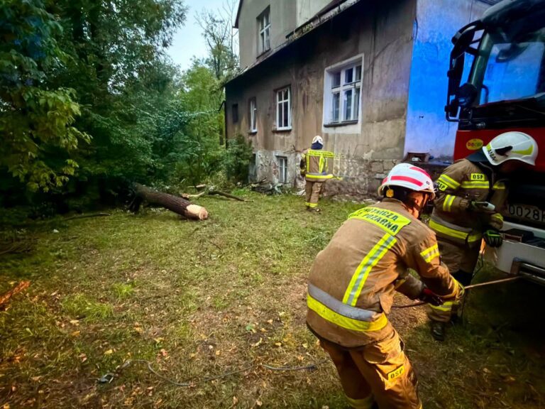 Ponad 50 interwencji w ciągu doby. Silny wiatr łamał drzewa i blokował drogi