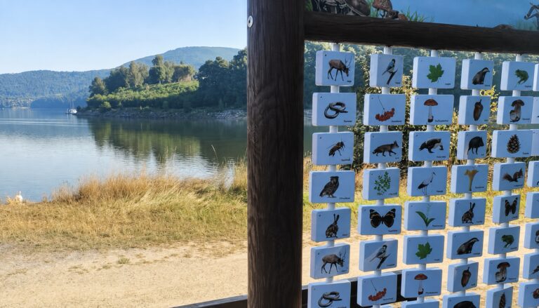 Popularna ścieżka w Żywcu zyskała nowe atrakcje. Powstały dwie strefy edukacyjne