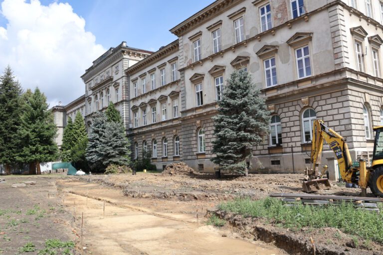 Duża zmiana przed „Mechanikiem” w Bielsku-Białej. Zniknie asfalt, pojawią się tysiące roślin
