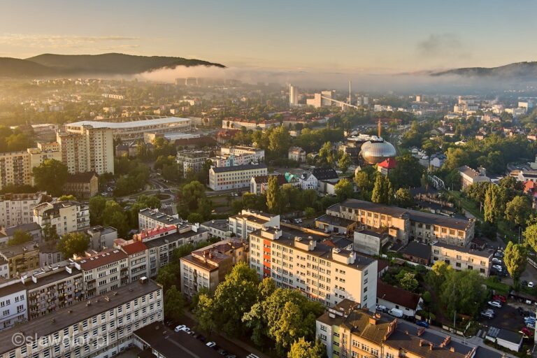 Tysiące drzew w Bielsku-Białej dostaną własne numery. Powstaje mapa, która pokaże też, gdzie miasto najbardziej się nagrzewa