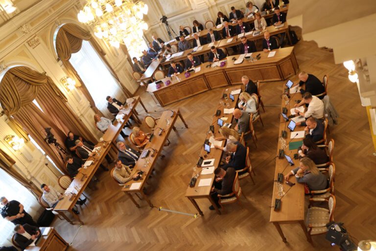Rdestowiec i barszcz Sosnowskiego coraz większym problemem. Bielsko-Biała apeluje do rządu