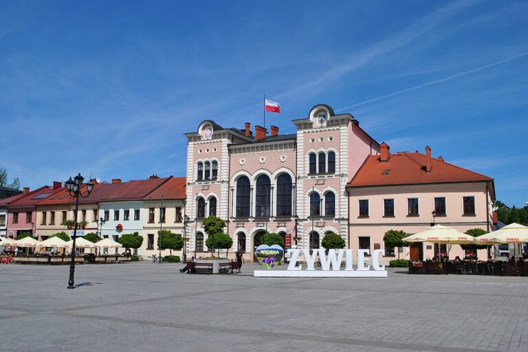 Charytatywny Festiwal Jesiennych Smaków w Żywcu. Mnóstwo atrakcji na rynku i pomoc dla Adrianny Rubys